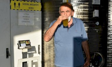Edremit Körfezinde Zeytin hasadı Başladı