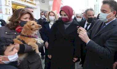 Babacan: Sayın Erdoğan biraz yavaş, Pelikan kaza yapıyor
