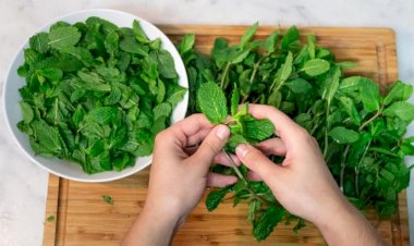 Nanenin faydaları: Nanenin içinde hangi vitaminler var?