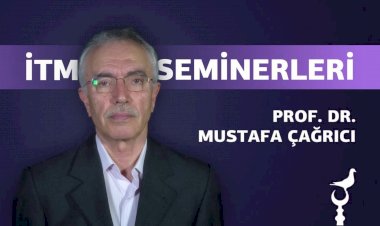 Mustafa Çağrıcı   Din-Hukuk-Reform