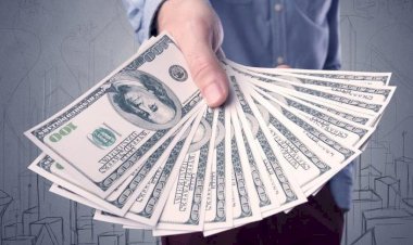 Reuters: Merkez Bankası döviz alımı yapmıyor