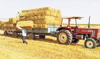 Rüyada Saman, samanlık görmek