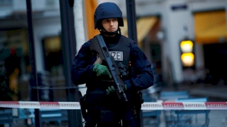Viyana'daki silahlı saldırılar hakkında neler biliniyor?