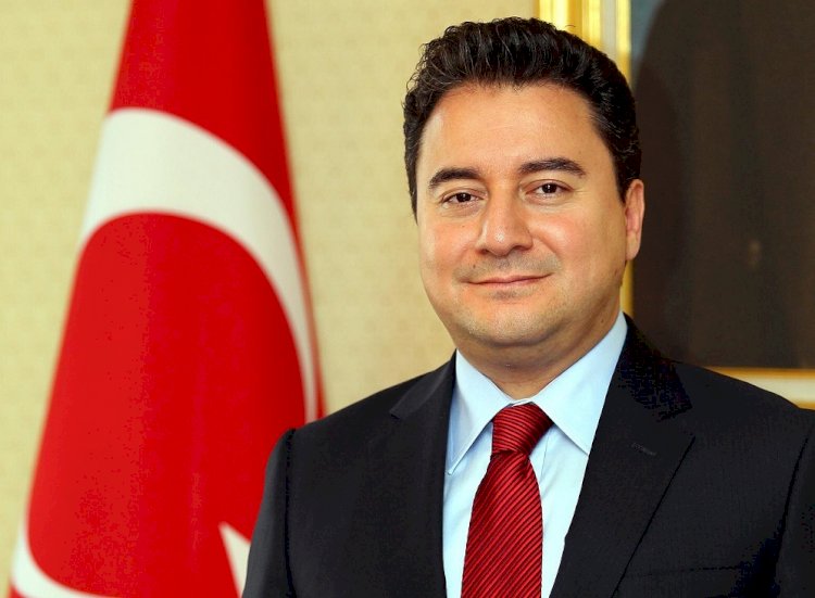 Babacan'dan Merkez tepkisi: Suçu bürokrata yıkamazsınız!