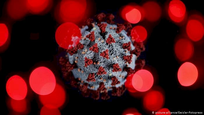 Koronavirus: Yedi farklı semptom grubu