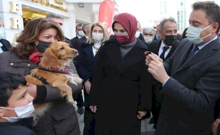 Babacan: Sayın Erdoğan biraz yavaş, Pelikan kaza yapıyor