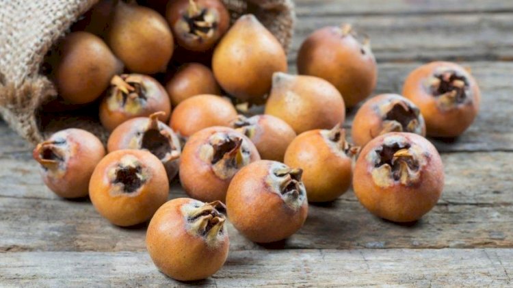 Muşmulanın faydaları nelerdir? Muşmula neye iyi geliyor?