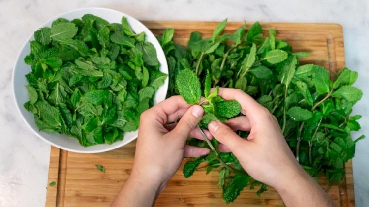 Nanenin faydaları: Nanenin içinde hangi vitaminler var?