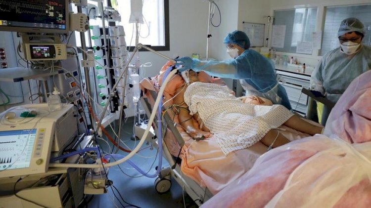 Corona virüsü salgınında son durum: Brezilya ve Türkiye’deki rekorlar gündemde