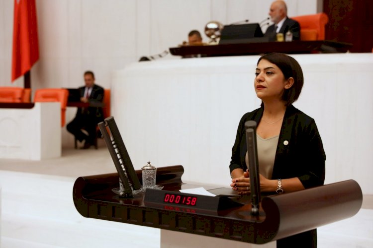 Gamze TAŞCIER 27. Dönem Ankara Milletvekili