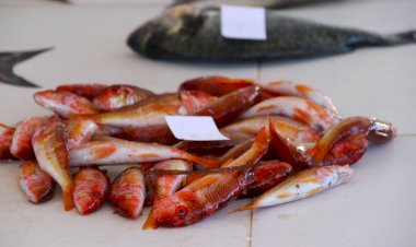 Çeşme Belediyesi’nden yerel üretime destek