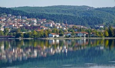 Güncel Sakarya Firma Rehberi