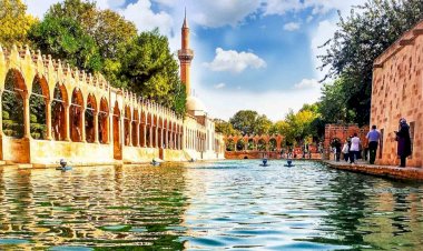 Güncel Şanlıurfa Firma Rehberi