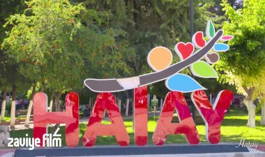 Güncel Hatay Firma Rehberi