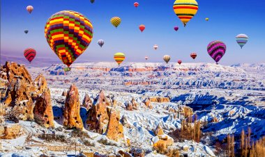Güncel Nevşehir  Firma Rehberi