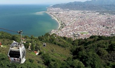 Güncel Ordu Firma Rehberi