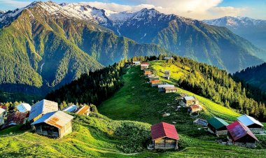 Güncel Rize Firma Rehberi