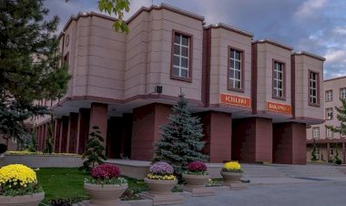 PKK'lı 5 terörist daha teslim oldu