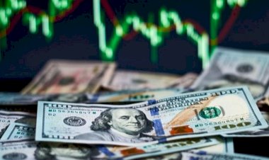 Remzi Özdemir dolarda neler olacağını açıkladı