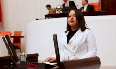 Nilgün ÖK 27. Dönem Denizli Milletvekili