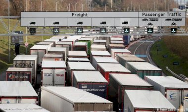 İngiltere'de meyve-sebze kıtlığı yaşanabilir