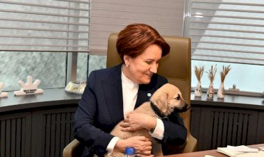 Akşener eve döner mi?