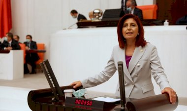 CHP İstanbul Milletvekili Emine Gülizar Emecan hak ihlallerini ve çıplak arama iddialarını Meclis gündemine taşıdı.