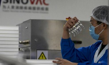 Türkiye'de yayımlanan Sinovac aşısının ön raporu kafalarda soru işaretleri yarattı