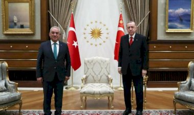 DSP’den Erdoğan’a reform ziyareti