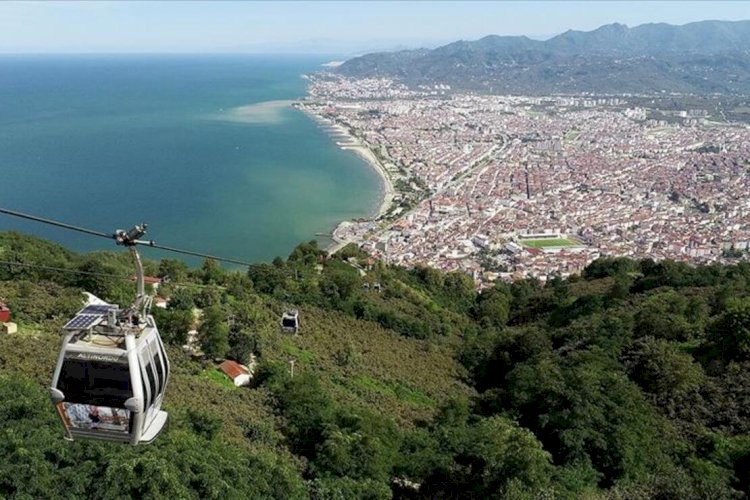 Güncel Ordu Firma Rehberi
