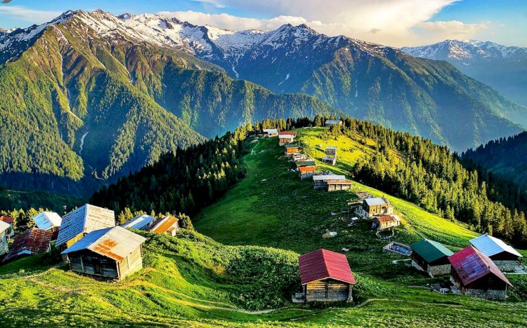 Güncel Rize Firma Rehberi