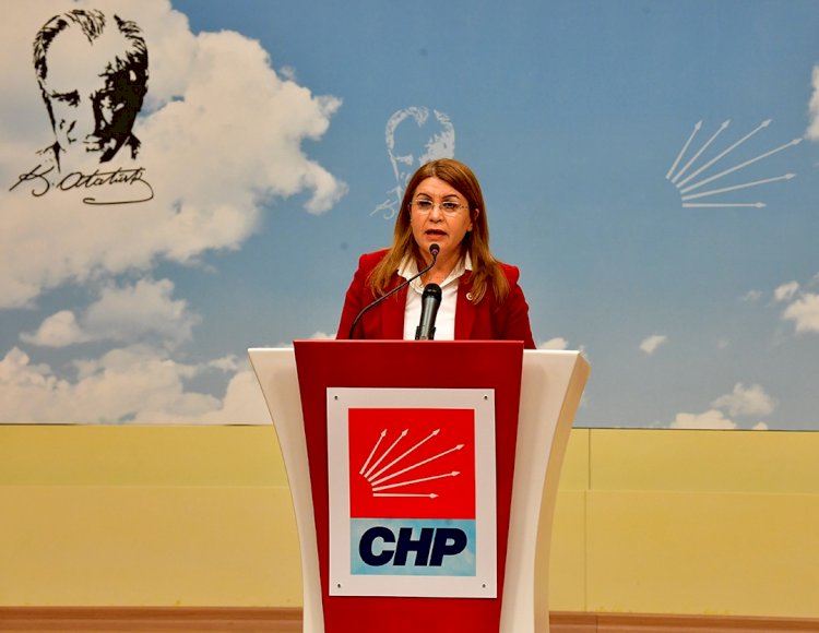 Gülizar BİÇER KARACA 27. Dönem Denizli Milletvekili