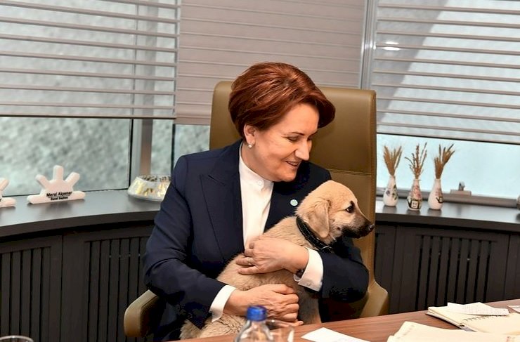 Akşener eve döner mi?