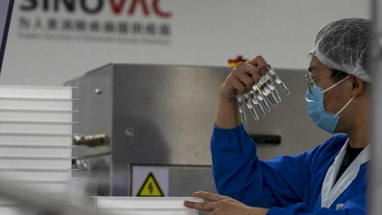 Türkiye'de yayımlanan Sinovac aşısının ön raporu kafalarda soru işaretleri yarattı