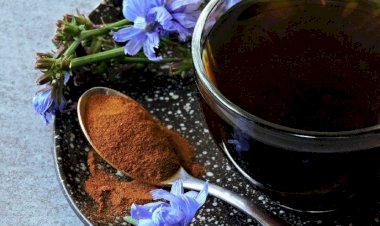 Hindibanın faydaları nelerdir? Hindibanın yararları…