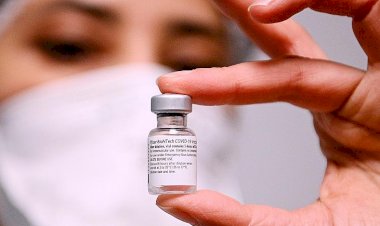 EMA'dan koronavirüs aşısına doz ayarı: Bir şişeden 5 yerine 6 doz çıkarılması tartışılıyor