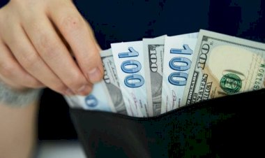 6 maddede doların 8,57’den 7,24’e düşüşü