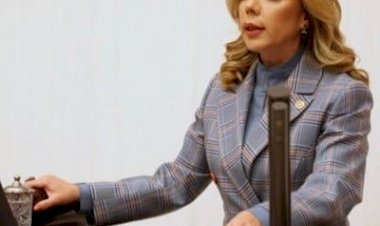 Demokrasilerin temel unsurlarından olan basın, düşünce, anlatım ve haber alma özgürlüğünün en etkili aracıdır.