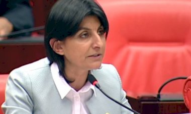 Sibel ÖZDEMİR 27. Dönem İstanbul Milletvekili