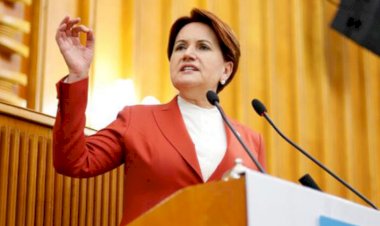 Meral Akşener Erdoğan'ın siyasi ziyaretlerinin perde arkasını açıkladı
