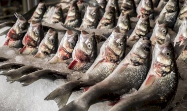 EİB'den yapılan tarım ürünleri ihracatı 5 milyar doları aştı