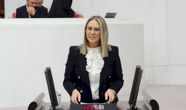 Ceyda BÖLÜNMEZ ÇANKIRI  27. Dönem İzmir Milletvekili