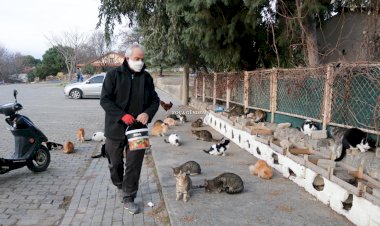  FOÇALI TURİZMCİDEN PANDEMİ MAĞDURU KEDİLERE BARINAK