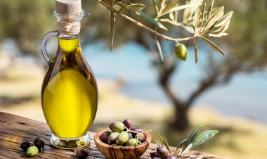 Zeytin ve zeytinyağı ihracatında hedef 1,5 milyar dolar 