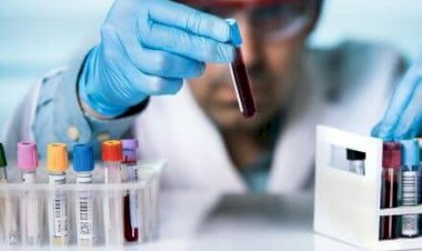 Moleküler Alerji Testi İle Alerjik Şok (Anafilaksi) Nedenleri Çok Ayrıntılı Ortaya Çıkarılabilir