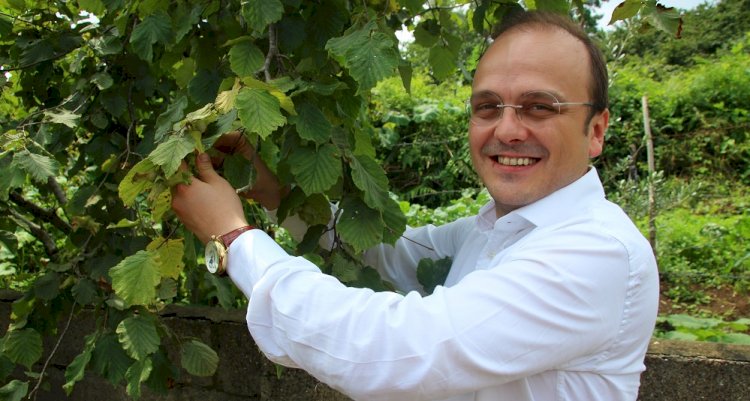 Necati TIĞLI 27. Dönem Giresun Milletvekili
