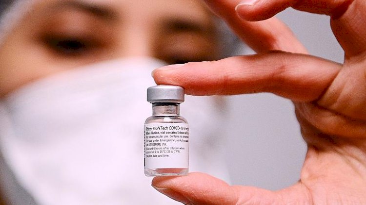 EMA'dan koronavirüs aşısına doz ayarı: Bir şişeden 5 yerine 6 doz çıkarılması tartışılıyor