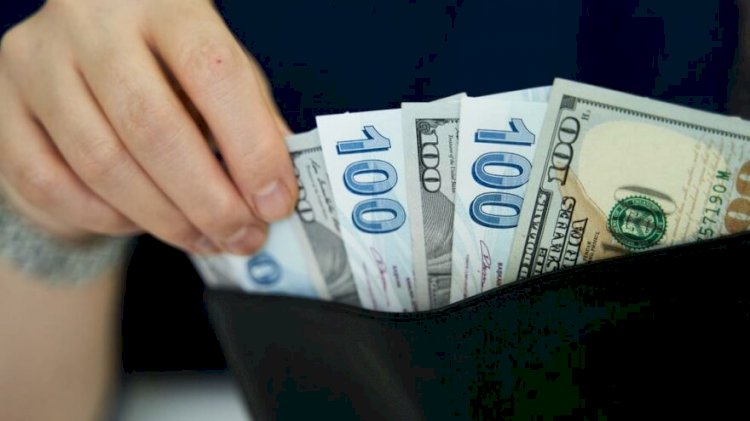 6 maddede doların 8,57’den 7,24’e düşüşü