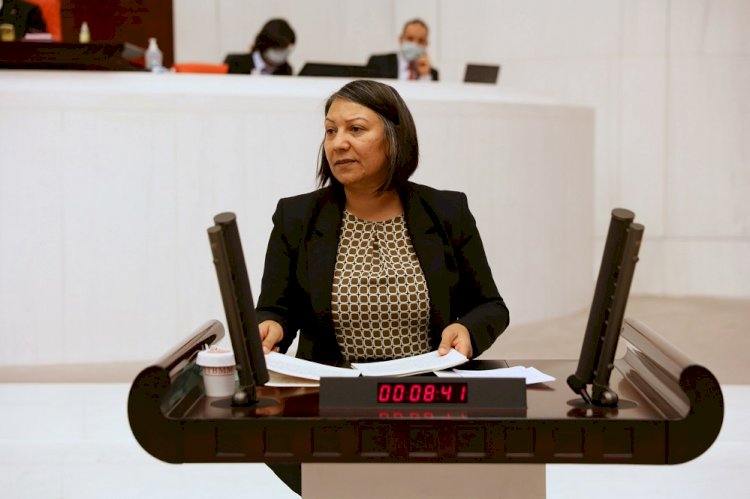 Dilşat CANBAZ KAYA 27. Dönem İstanbul Milletvekili