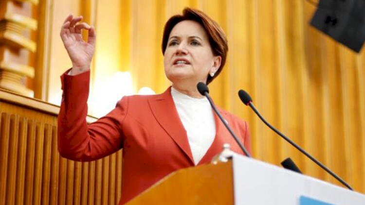 Meral Akşener Erdoğan'ın siyasi ziyaretlerinin perde arkasını açıkladı